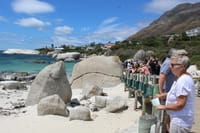 Photo stop at Stony Point penguin colony