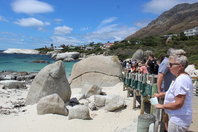 Photo stop at Stony Point penguin colony