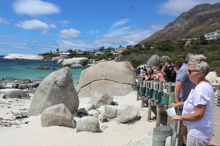 Photo stop at Stony Point penguin colony
