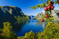 Private guided Bergen to Oslo, Viking Village, Nærøyfjord Cruise & Flåm Railway 10