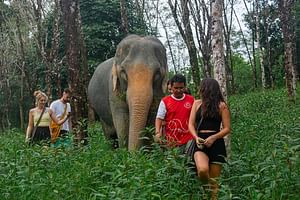 Khao Lak: All-Day Elephant Sanctuary Experience in Small Groups