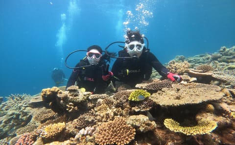 SCUBA Diving Experience with Two Dives in Nago, Okinawa