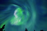 Aurora Dinner (3 Hours) 4
