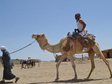 Premium 1 Hour Desert Camel Riding Adventure – Hurghada
