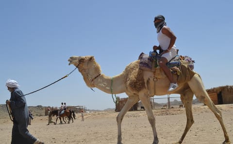 Premium 1 Hour Desert Camel Riding Adventure – Hurghada