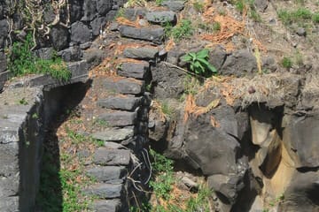 Full Day 4x4 Jeep Adventure to Porto Moniz and Fanal