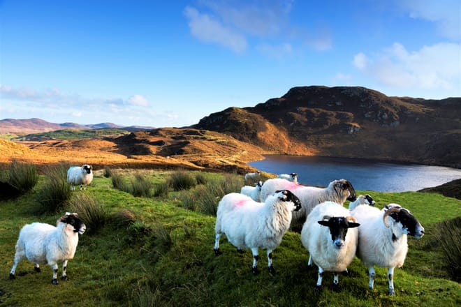 Castles of Connemara Tour Departing from Galway City. Private Guided.	 4