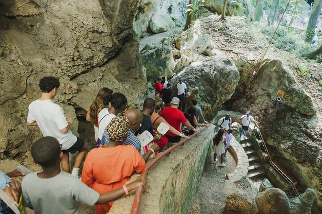 Santo Domingo Full Day Tour From Punta Cana with Lunch & Cenote 8