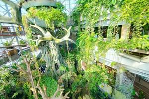 The Green Planet Dubai with Options