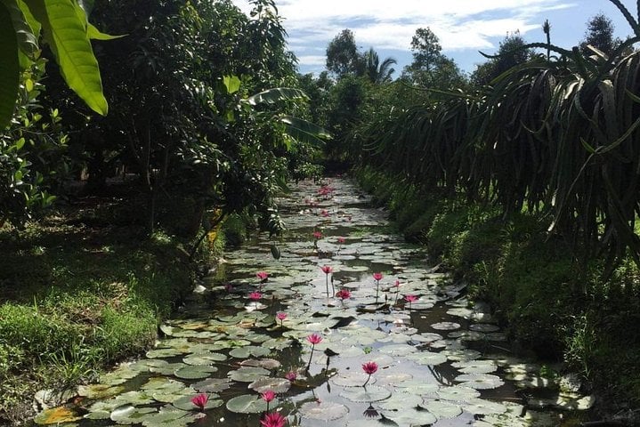 2 days Mekong Delta Can Tho Floating market from Sai Gon (drop off many options) 7