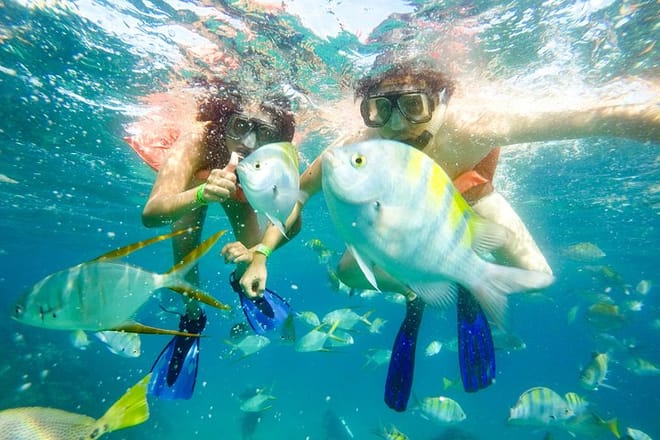 Snorkeling at Pelicans Rock 5