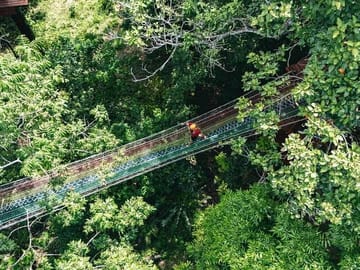 Ziplining Adventure in the Lush Landscapes of Thai Chang
