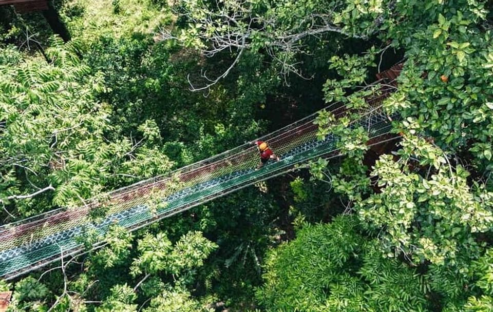 Ziplining Adventure in the Lush Landscapes of Thai Chang