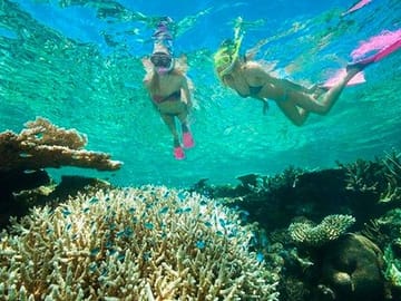 Catamaran Snorkel Tour in Roatán with Shipwreck Exploration