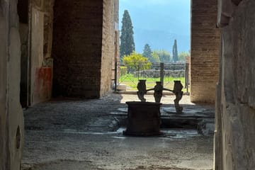 Excursión a Pompeya y Nápoles desde Roma en tren de alta velocidad