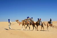 Camel Ride Tour in Marrakech 8