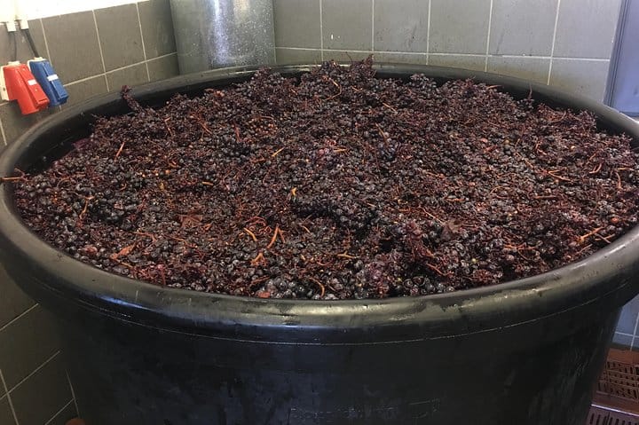 Vip Tour Giza pyramids, sphinx with Camel Ride and Vip lunch