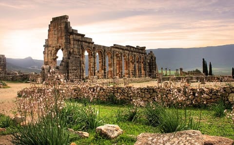 Private Transfer from Fes to Casablanca via Volubilis and Rabat