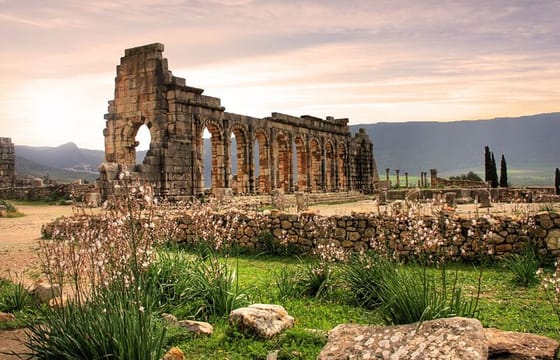 Fes to Casablanca via Volubilis and Rabat privat trasfer