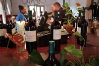 Wine Tasting at Rust en Vrede