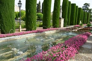 Cordoba Monuments Intensive Tour in English Tickets included
