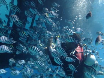 Premium Empire Semi-Submarine, Snorkeling Sea Trip – Hurghada