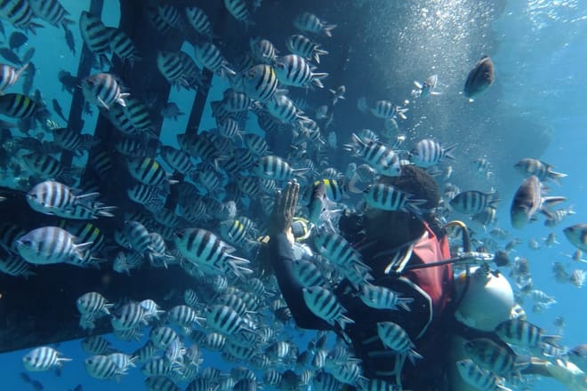 Premium Empire Semi-Submarine, VIP Snorkeling Sea Trip - Hurghada photo 2
