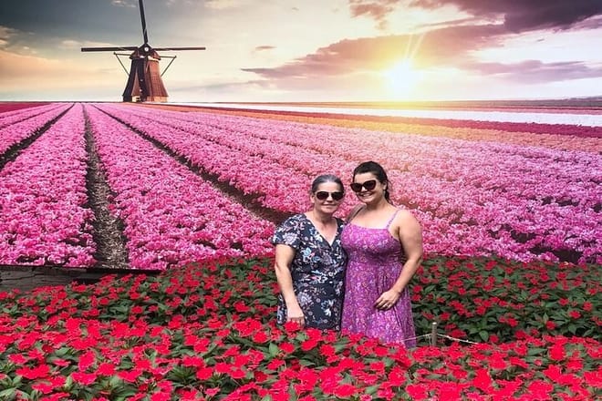 Holambra: Flowers & Windmill, The Little Piece Of Netherlands in Brazil photo 2