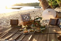 Gourmet Picnic on a Private Beach 3