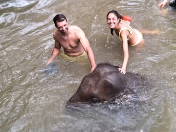Half-Day Afternoon Elephant Sanctuary Program in Chiang Mai