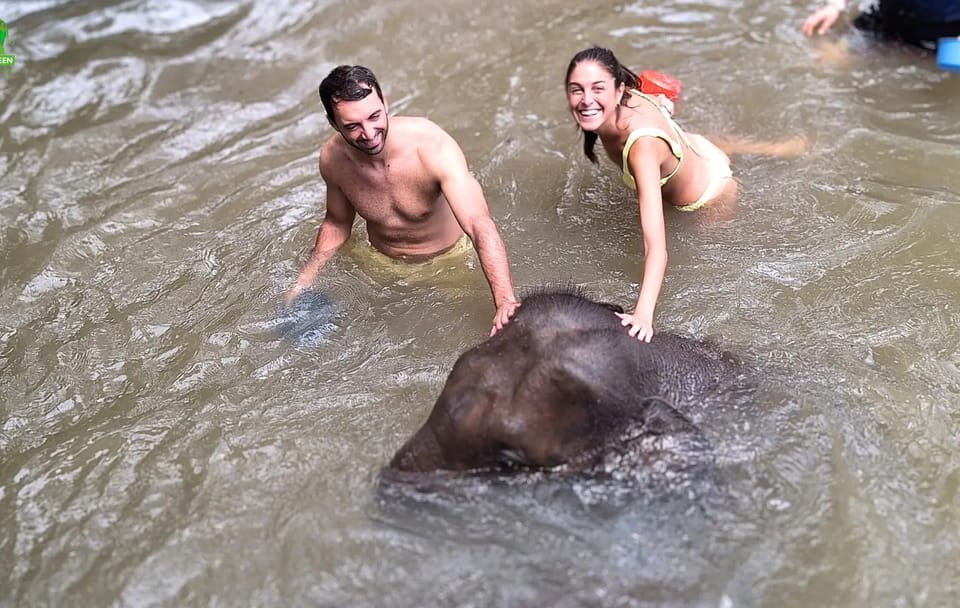 Half-Day Afternoon Elephant Sanctuary Program in Chiang Mai