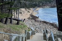 Self Guided GPS Audio Driving Tour Acadia NP From Hulls Cove VC 7