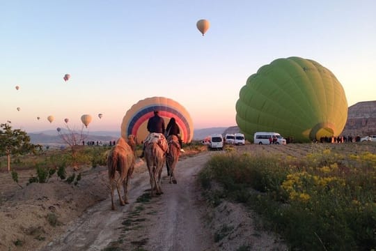 Cappadocia: Sunrise Camel Safari