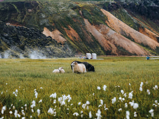 Landmannalaugar Guided Hike - Meet on Location, photo 10