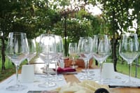 Wine tour & tasting - Prosecco Experience 7