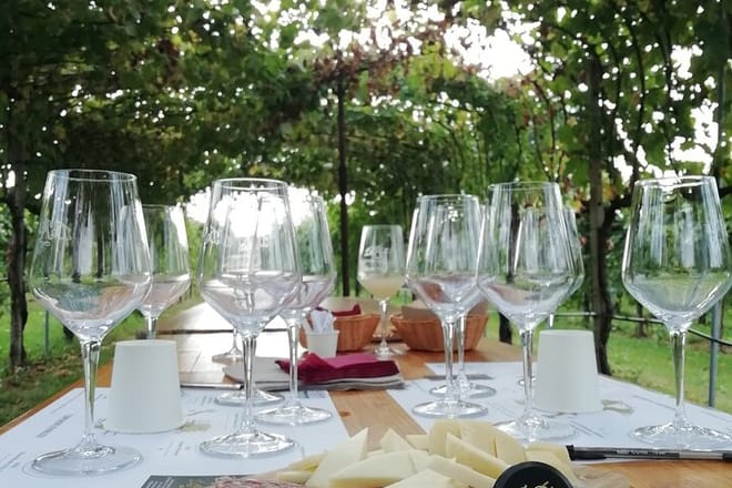 Wine tour & tasting - Prosecco Experience 7