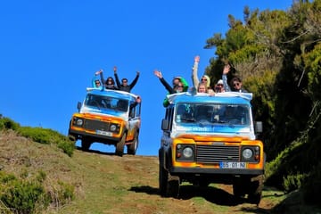 Southwest Madeira 4x4 Tour with Rum and Gin Tasting