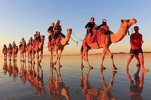 Sunset Camel Ride With Barbeque - Aagdir