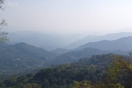 Munnar 3-Day Private Sightseeing Tour from Madurai