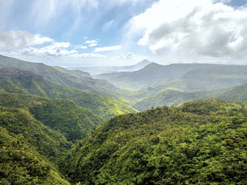 Private ATV Adventure Tour in Black River Gorges, Mauritius