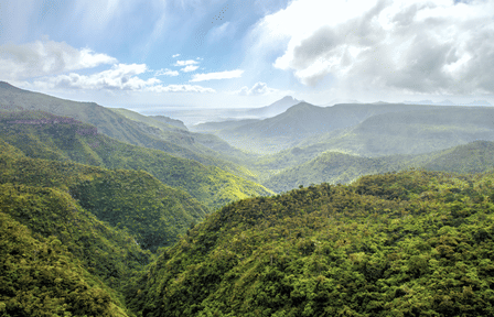 Private ATV Adventure Tour in Black River Gorges, Mauritius