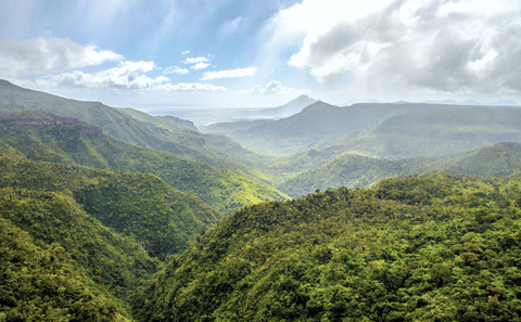 Private ATV Adventure Tour in Black River Gorges, Mauritius