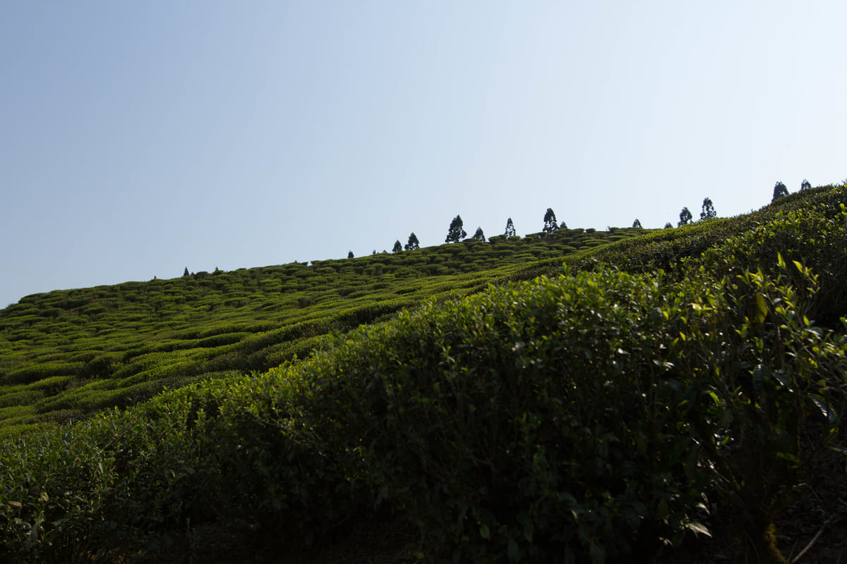 19 Days Mera Peak Climbing & Expedition – One Life-Changing Himalayan Adventure