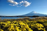 Tokyo, Mt. Fuji, Kyoto and Nara 6 Days Private Tour 3
