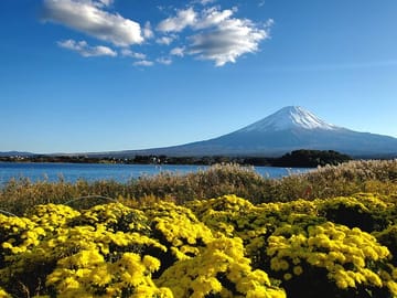 Tokyo, Mt. Fuji, Kyoto and Nara 6 Days Private Tour