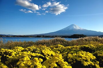 Tokyo, Mt. Fuji, Kyoto and Nara 6 Days Private Tour