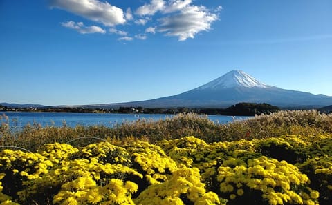 Tokyo, Mt. Fuji, Kyoto and Nara 6 Days Private Tour