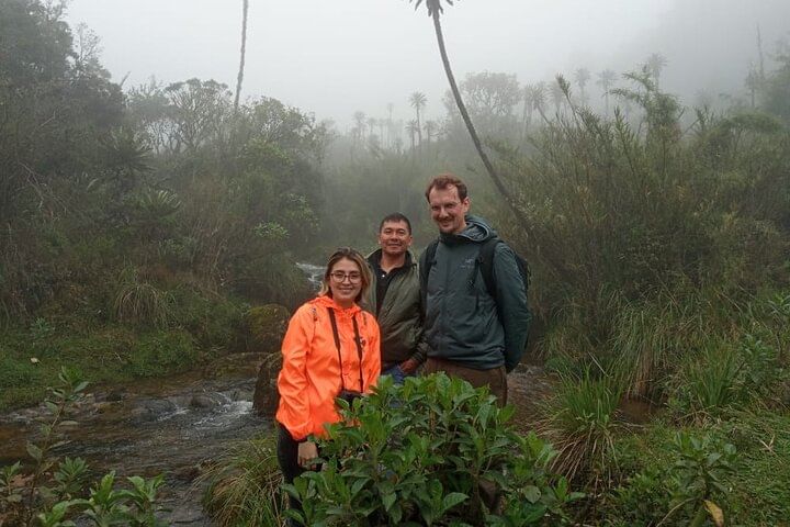 Caminata en el parque