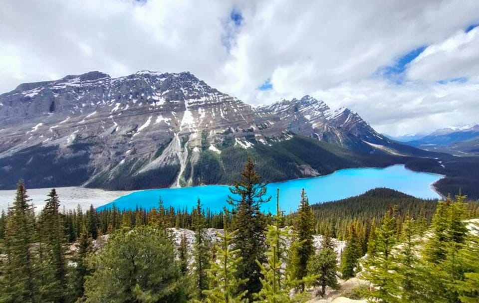 Lake Louise, Moraine Lake, Peyto Lake, Crowfoot Tour from Calgary