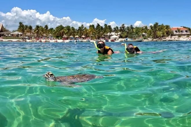 Santuario de tortugas Akumal Snorkel Experiencia marina